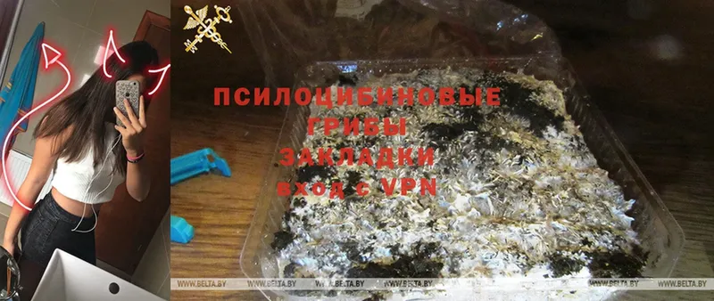 Псилоцибиновые грибы Magic Shrooms  площадка формула  Гусиноозёрск 